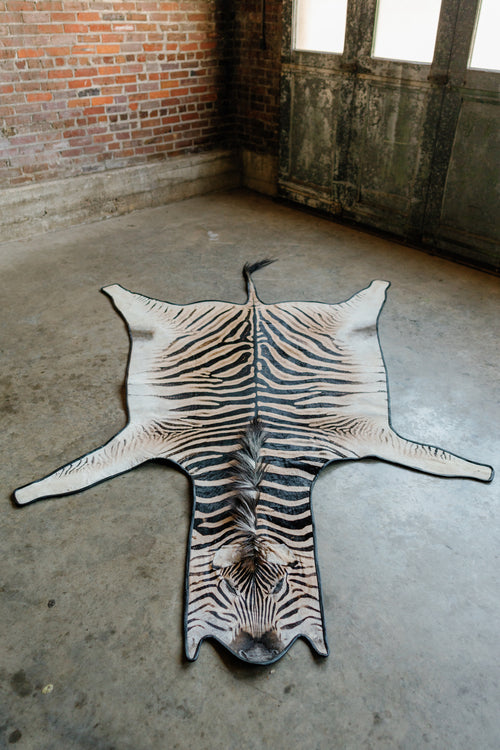 Zebra Hide